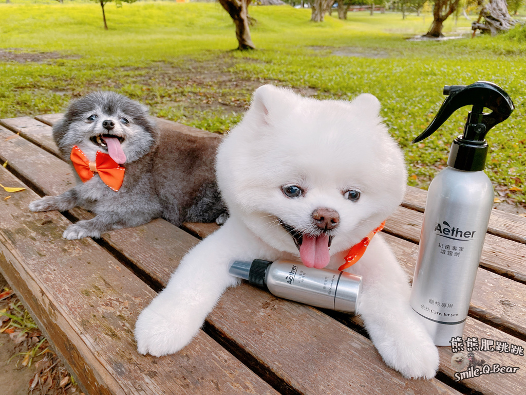 IMG_2458.JPG IMG_2458.JPG