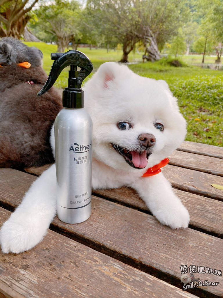 IMG_2456.JPG IMG_2456.JPG