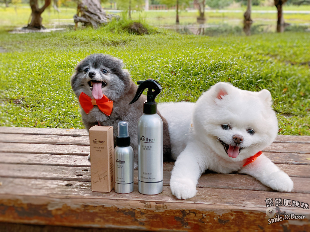 IMG_2454.JPG IMG_2454.JPG