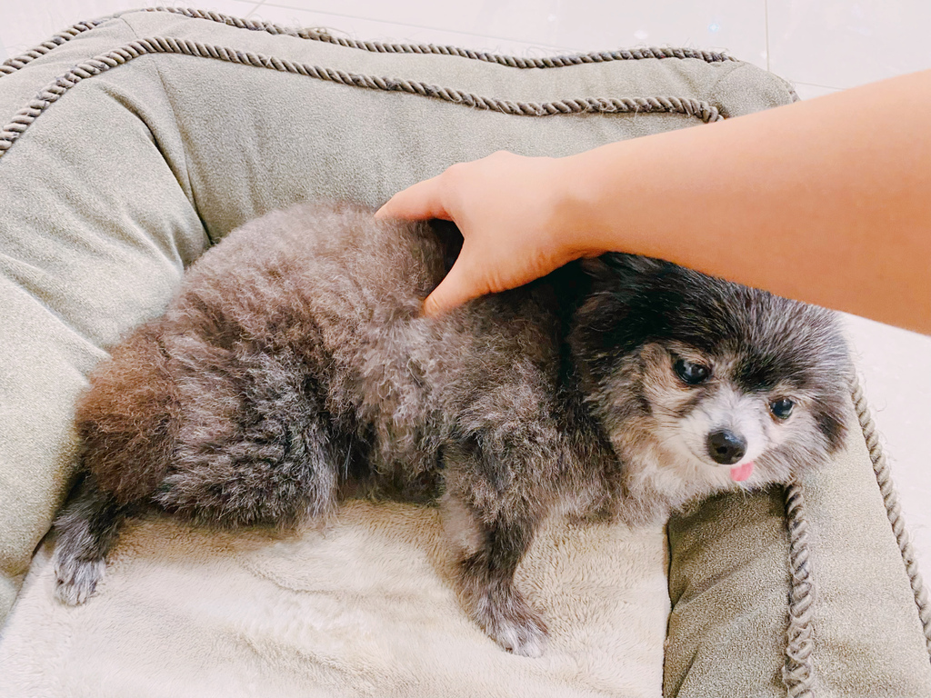 S__38199302.jpg S__38199302.jpg