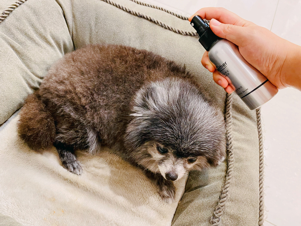 S__38199298.jpg S__38199298.jpg