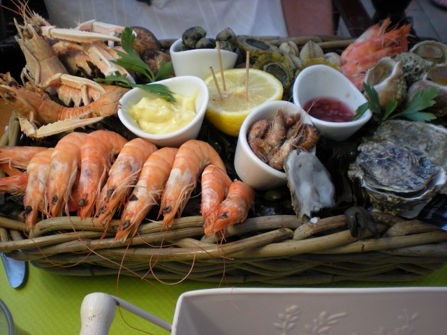 DSCN5523.jpg DSCN5523.jpg