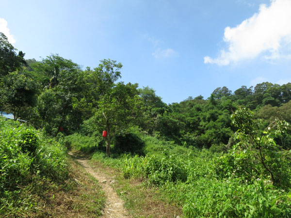 106.JPG