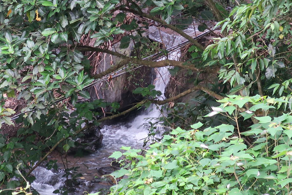 IMG_0019.JPG