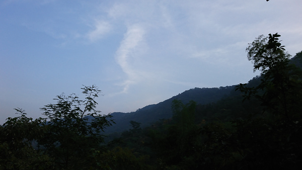 58.JPG