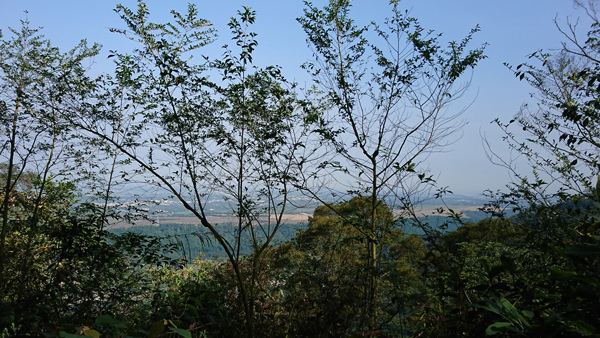 58.JPG