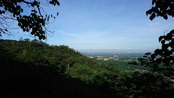 37.JPG