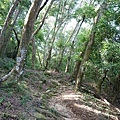 59.JPG