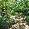 78.JPG