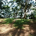 79.JPG