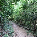 87.JPG