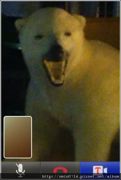 飯店lobby的北極熊