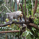 DSC_0980.JPG DSC_0980.JPG