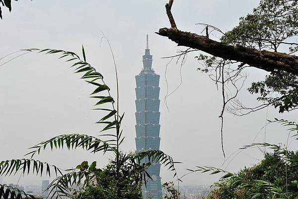 DSC_8993_調整大小