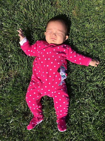 IMG_5643.JPG IMG_5643.JPG