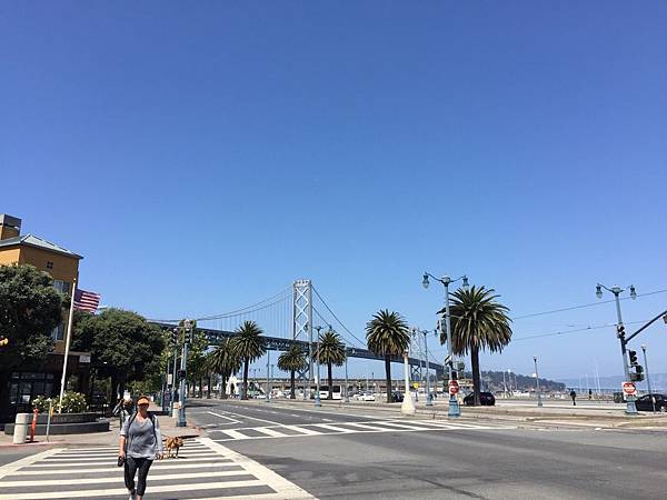 IMG_5624.JPG IMG_5624.JPG