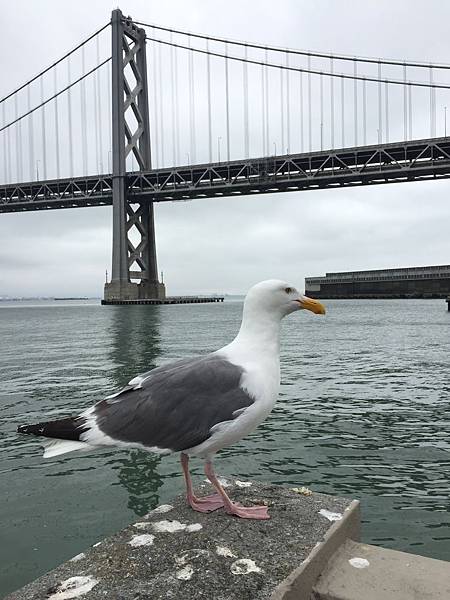 IMG_5748.JPG IMG_5748.JPG