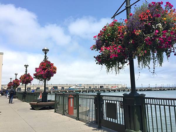 IMG_5776.JPG IMG_5776.JPG