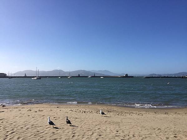 IMG_6975.JPG IMG_6975.JPG