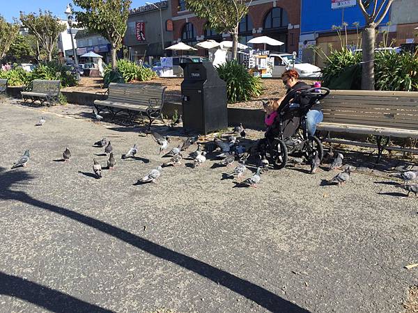 IMG_6979.JPG IMG_6979.JPG