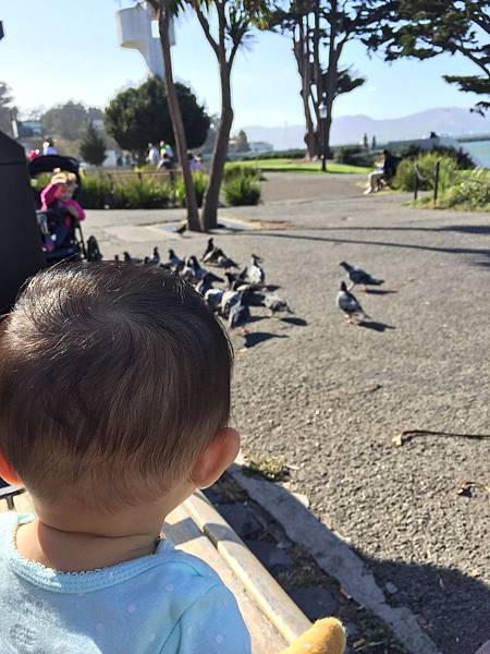 IMG_6980.JPG IMG_6980.JPG