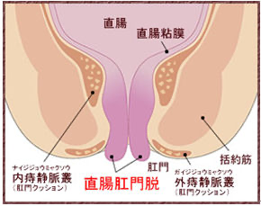 52BDACE2-7AD5-43EB-8FC5-1BE85951A516.png