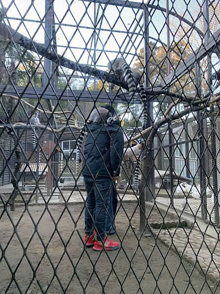 59BA1894-FA3F-4E9B-B472-FDD9872A1440.jpeg 59BA1894-FA3F-4E9B-B472-FDD9872A1440.jpeg