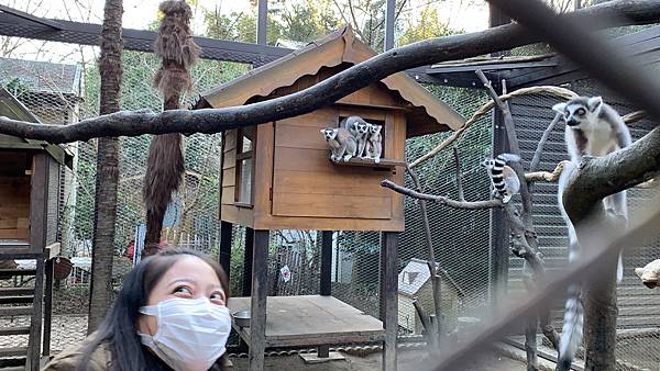 12197EEF-8F86-4D2F-90F4-4CB7E3C43458.jpeg 12197EEF-8F86-4D2F-90F4-4CB7E3C43458.jpeg