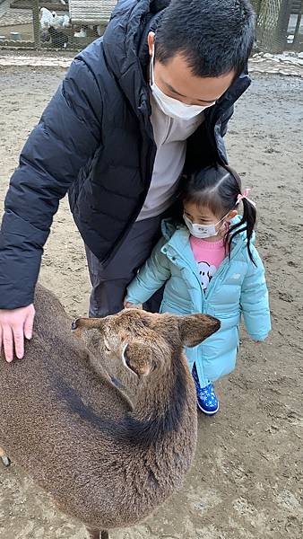 62B47DEB-EDF1-4E29-A2DF-B193B86ACA8F.jpeg 62B47DEB-EDF1-4E29-A2DF-B193B86ACA8F.jpeg