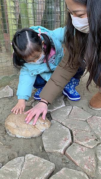 9447CB01-BB0B-44F8-A1D7-418C86FE8421.jpeg 9447CB01-BB0B-44F8-A1D7-418C86FE8421.jpeg