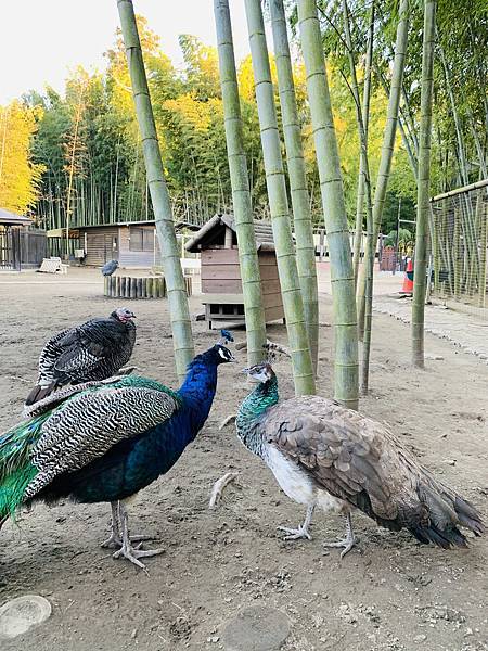 2D58F12E-9F80-4794-ADEB-95C6D53EE5F0.jpeg 2D58F12E-9F80-4794-ADEB-95C6D53EE5F0.jpeg