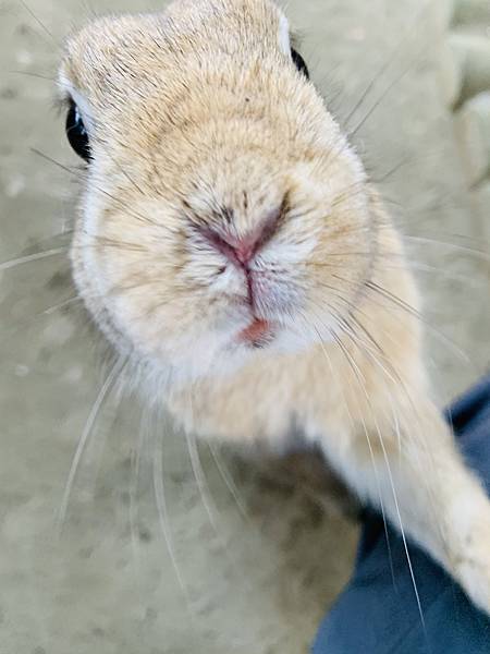 841DAD8B-43A5-405A-B729-5E02199F9169.jpeg 841DAD8B-43A5-405A-B729-5E02199F9169.jpeg