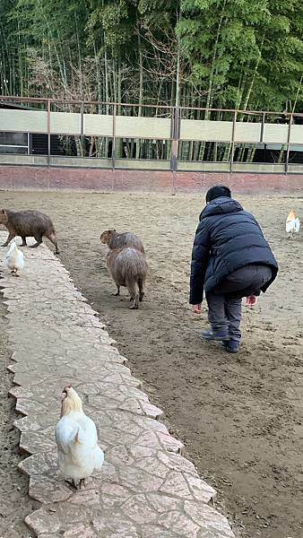 24684D97-1F29-4C3E-8205-55A24095D8FD.jpeg 24684D97-1F29-4C3E-8205-55A24095D8FD.jpeg