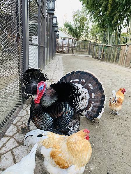 36A52179-0D30-4146-B04A-0E5E59F66425.jpeg 36A52179-0D30-4146-B04A-0E5E59F66425.jpeg