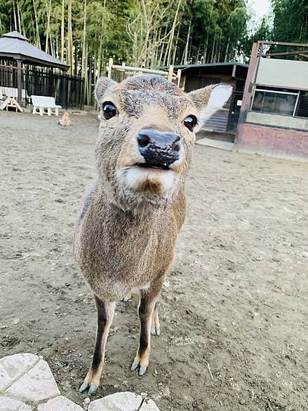 CB58F208-ADF3-46EC-B7EB-DBD1B694B516.jpeg CB58F208-ADF3-46EC-B7EB-DBD1B694B516.jpeg