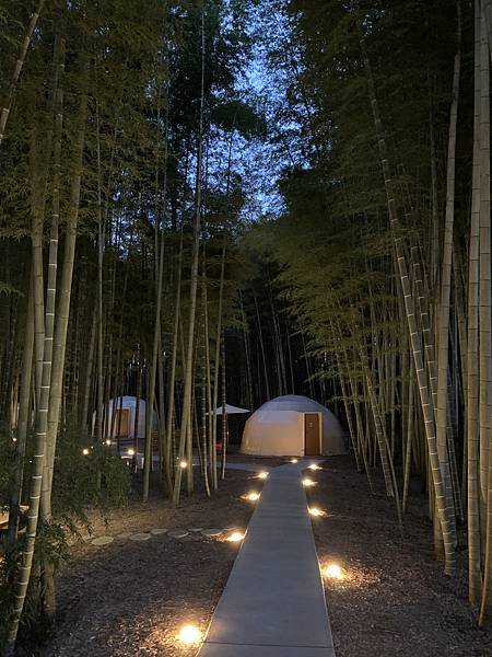 2D1F5570-EF80-4FF8-BCBB-B1E6D7A58B73.jpeg 2D1F5570-EF80-4FF8-BCBB-B1E6D7A58B73.jpeg