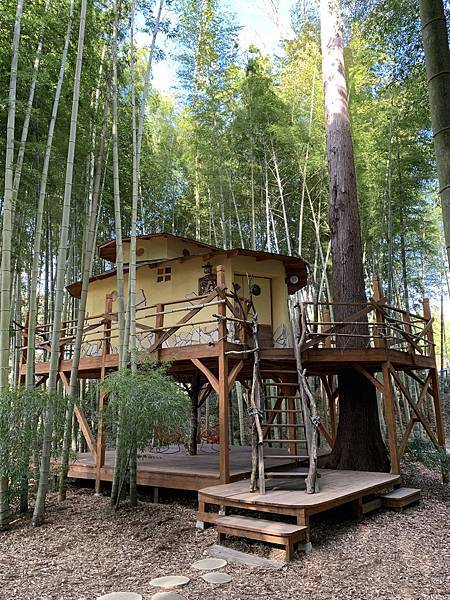 6F29CC91-940B-4022-9CED-CA63E72A93BB.jpeg 6F29CC91-940B-4022-9CED-CA63E72A93BB.jpeg