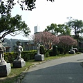 台灣藝術博物館的前庭