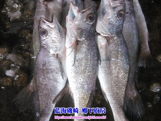 IMG_20150613_124928 (複製).jpg IMG_20150613_124928 (複製).jpg