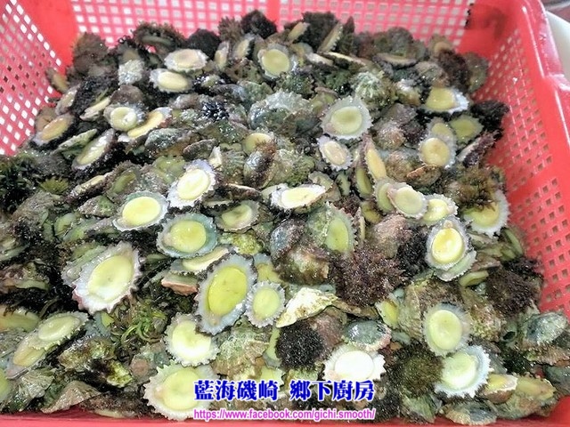 10416867_472049039608654_1859388138_n (複製).jpg 10416867_472049039608654_1859388138_n (複製).jpg