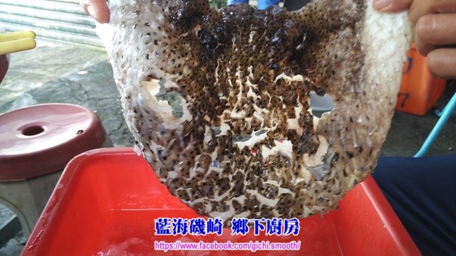 IMG_20150714_120531 (複製).jpg IMG_20150714_120531 (複製).jpg