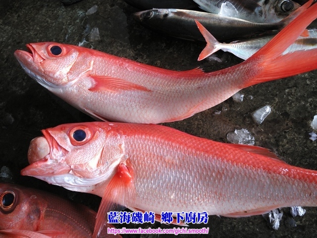 台東 烏石鼻漁港-晨霄海鮮小吃