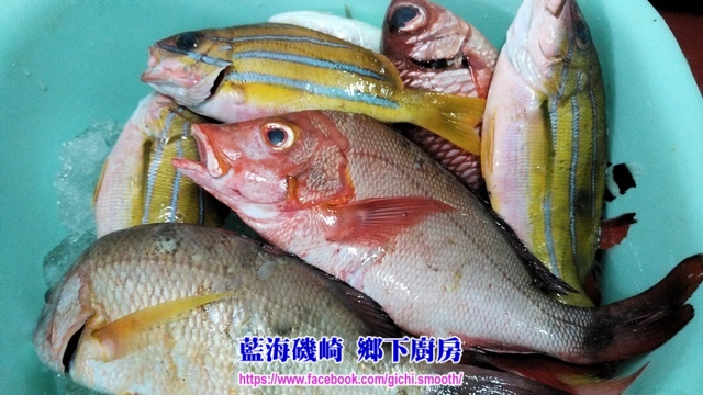 花蓮石梯漁港夜釣 藍海磯崎the Blue Sea Of Gi Chi 痞客邦