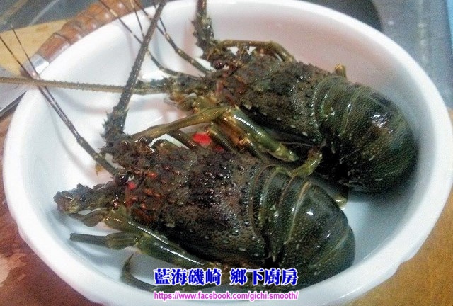 龍蝦01 (複製).jpg