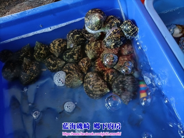 台東 成功漁港港邊浪人小館-阿汶平價海鮮小吃 台東 成功漁港港邊浪人小館-阿汶平價海鮮小吃