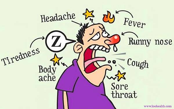 Flu-symptoms-loohealth.jpg Flu-symptoms-loohealth.jpg