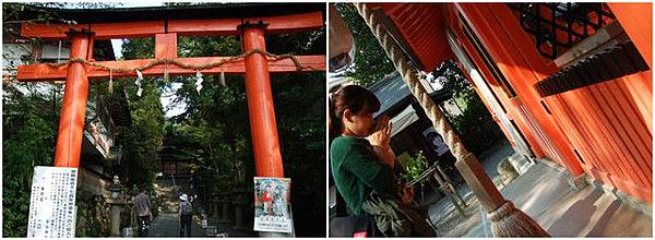 宇治神社 宇治神社