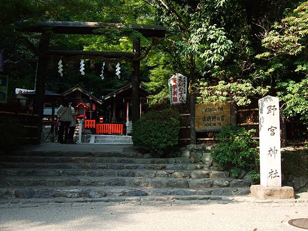 DSCF1107 DSCF1107
