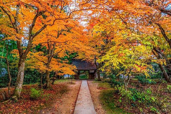 S__6275195.jpg S__6275195.jpg