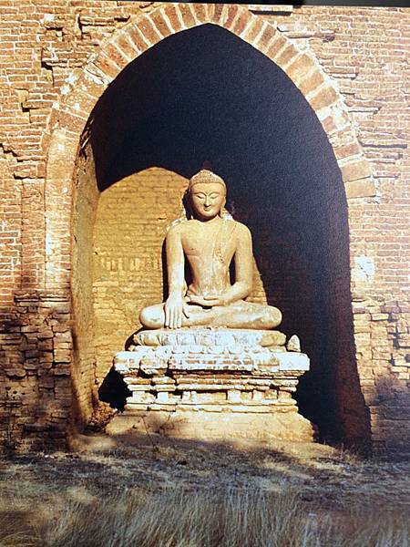 S__8085965.jpg S__8085965.jpg